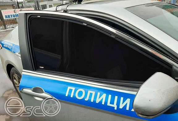 Карасные шторки и ДПС